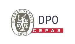 dpo